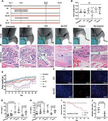 Association of Antibiotic Alterations in Gut Microbiota With Decreased Osseointegration of an Intramedullary Nail in Mice With and Without Osteomyelitis